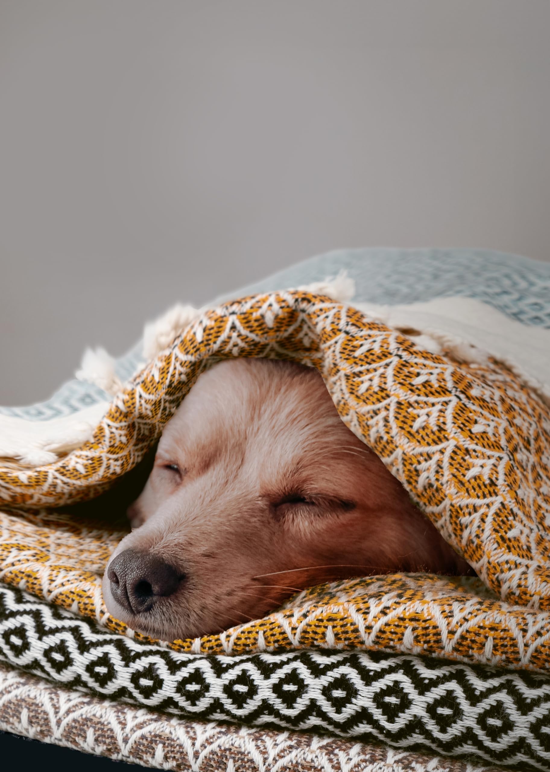 Gold CASE Turkish Hand Towels for Bathroom Set of 4 – 20 x 40'' – 100% Cotton Bathroom Towels – Aphrodite Kitchen Small Towel for Spa, Face, Tea & Dishcloth – Decorative Patterned Weave – Black